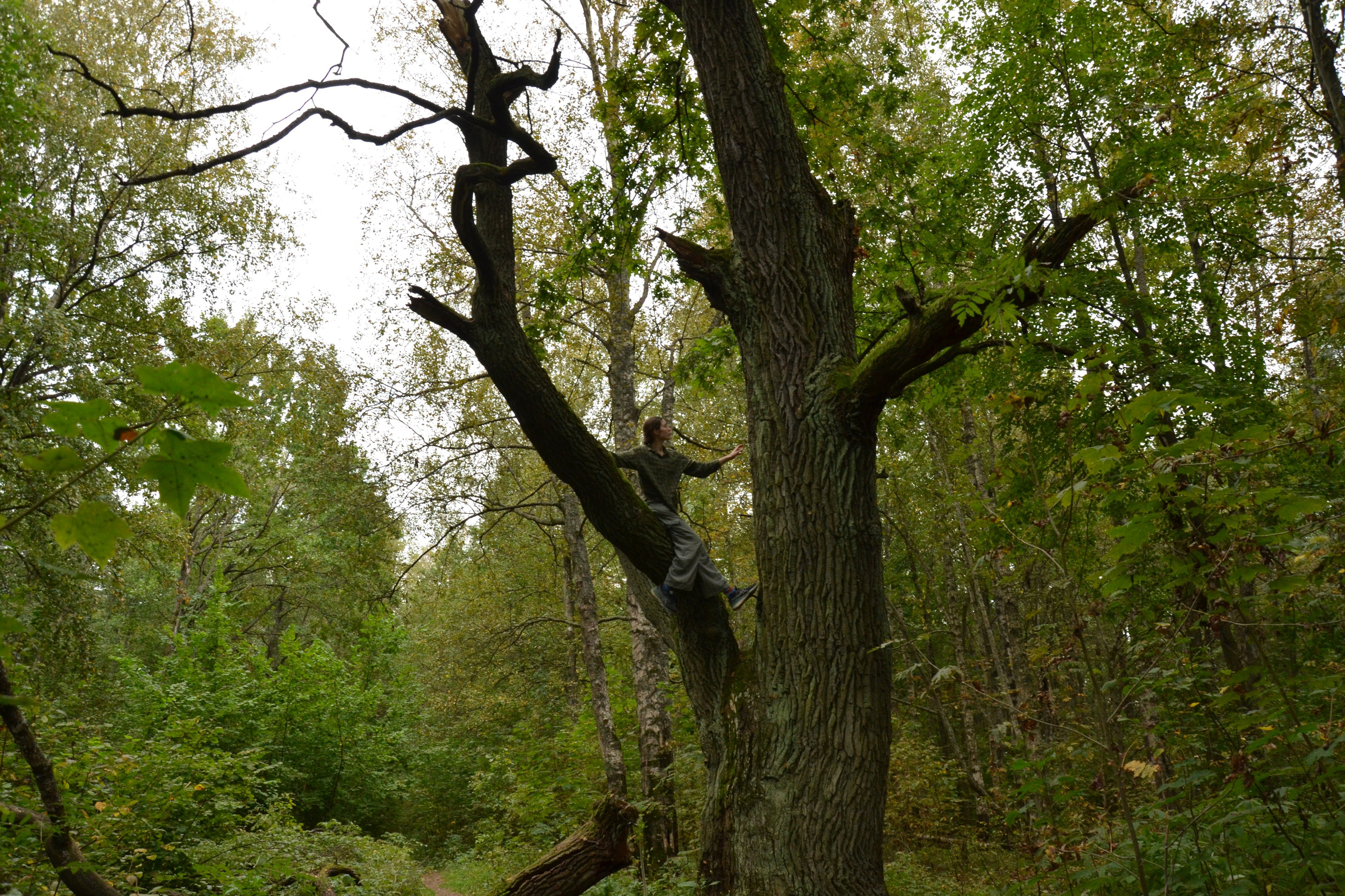Обо мне. Фотограф СПб | Лесная фотосессия