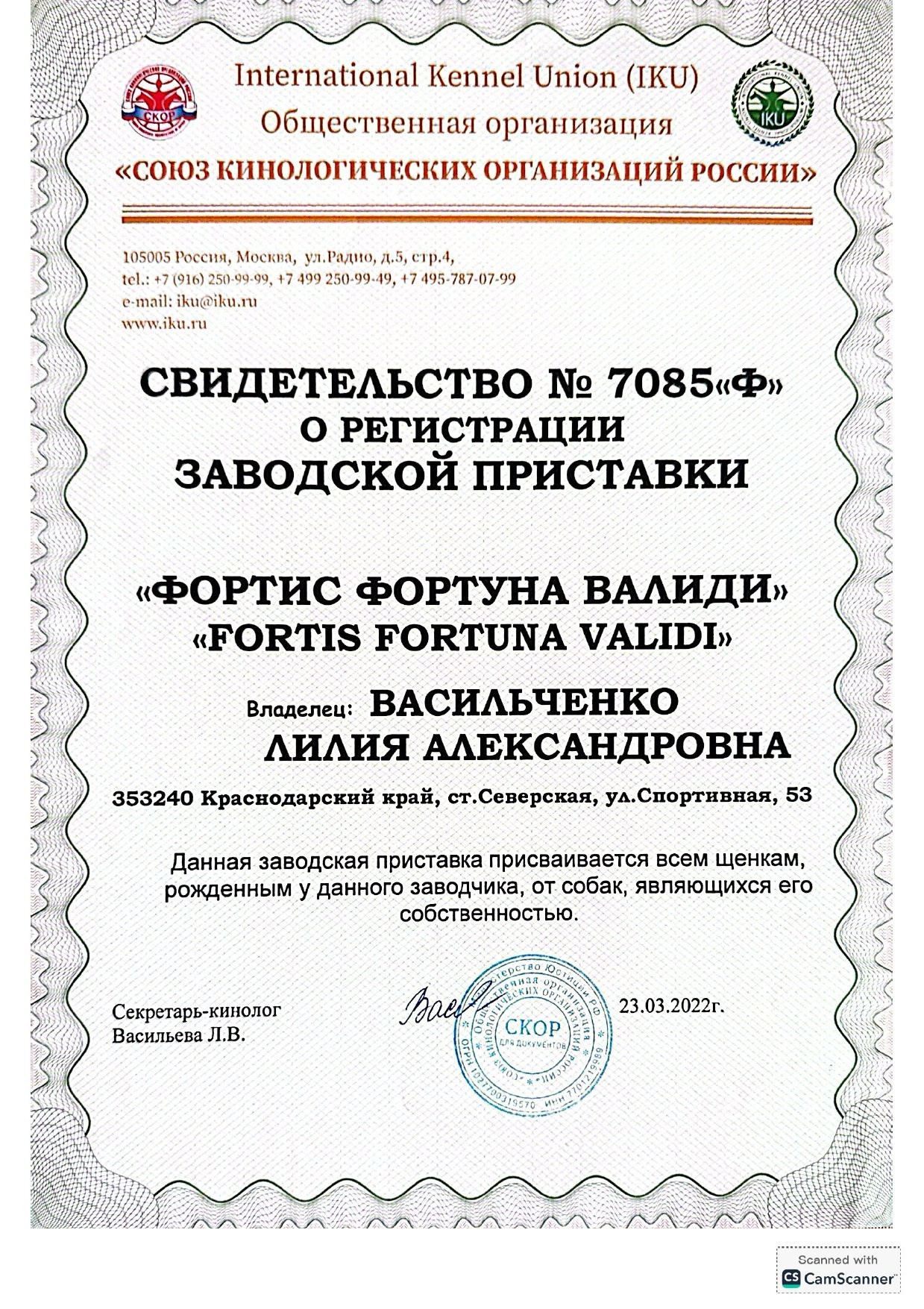 ПИТОМНИК СОБАК ПОРОДЫ АМЕРИКАНСКИЙ БУЛЛИ