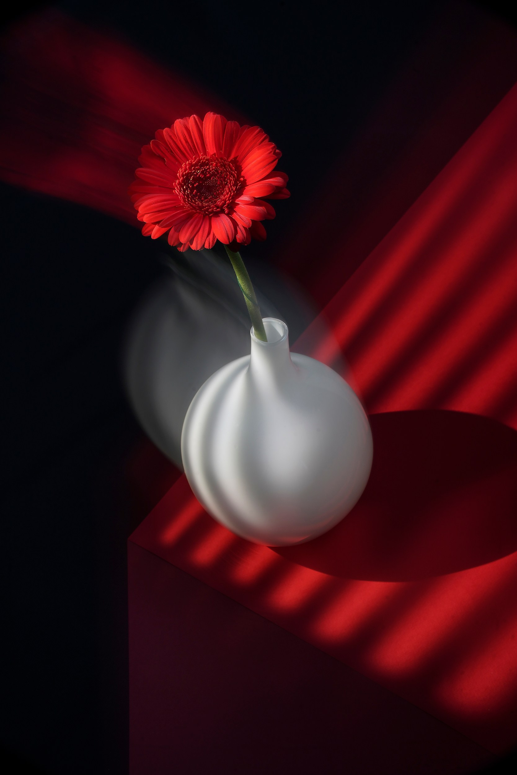 Скоморохова Татьяна. ARTEXPOPHOTO