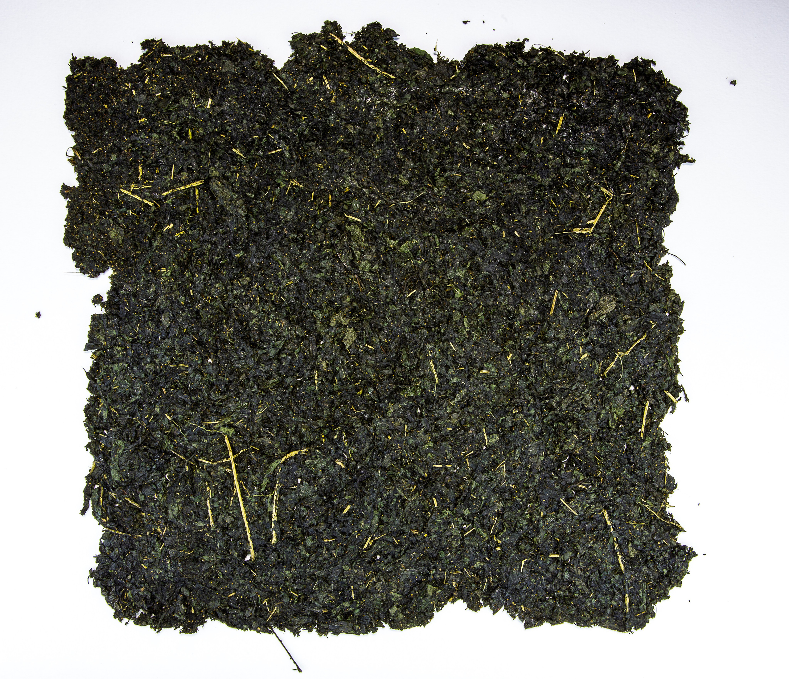 Аня Ким — Дикий сад