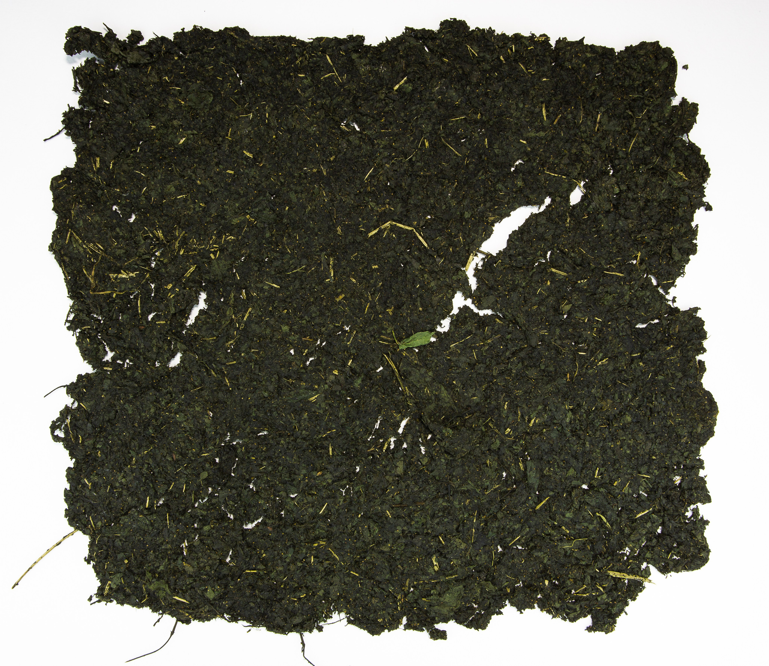 Аня Ким — Дикий сад