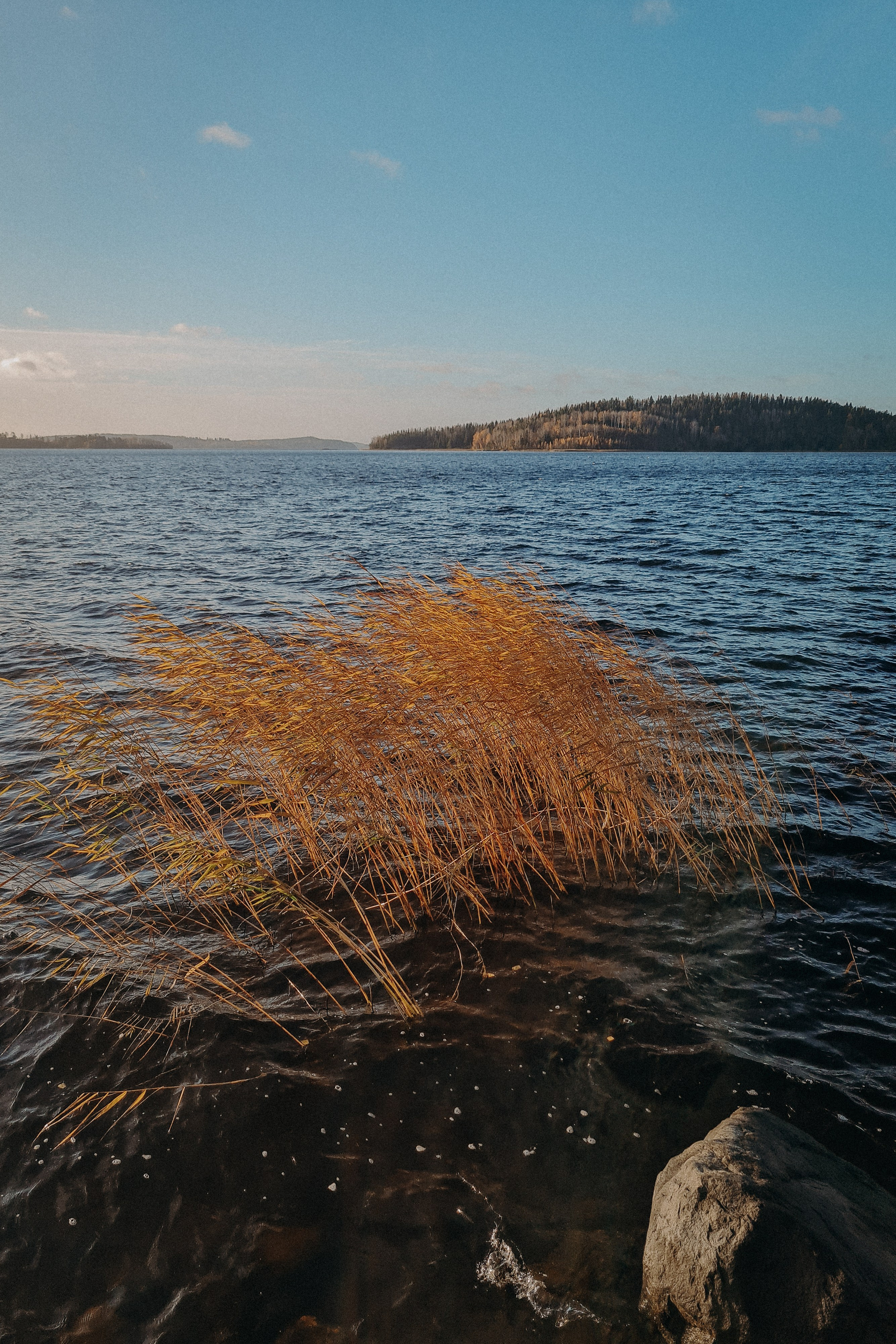 Осенняя поездка в Карелию. Свадебный фотограф в Санкт-Петербурге Венера Ахметова