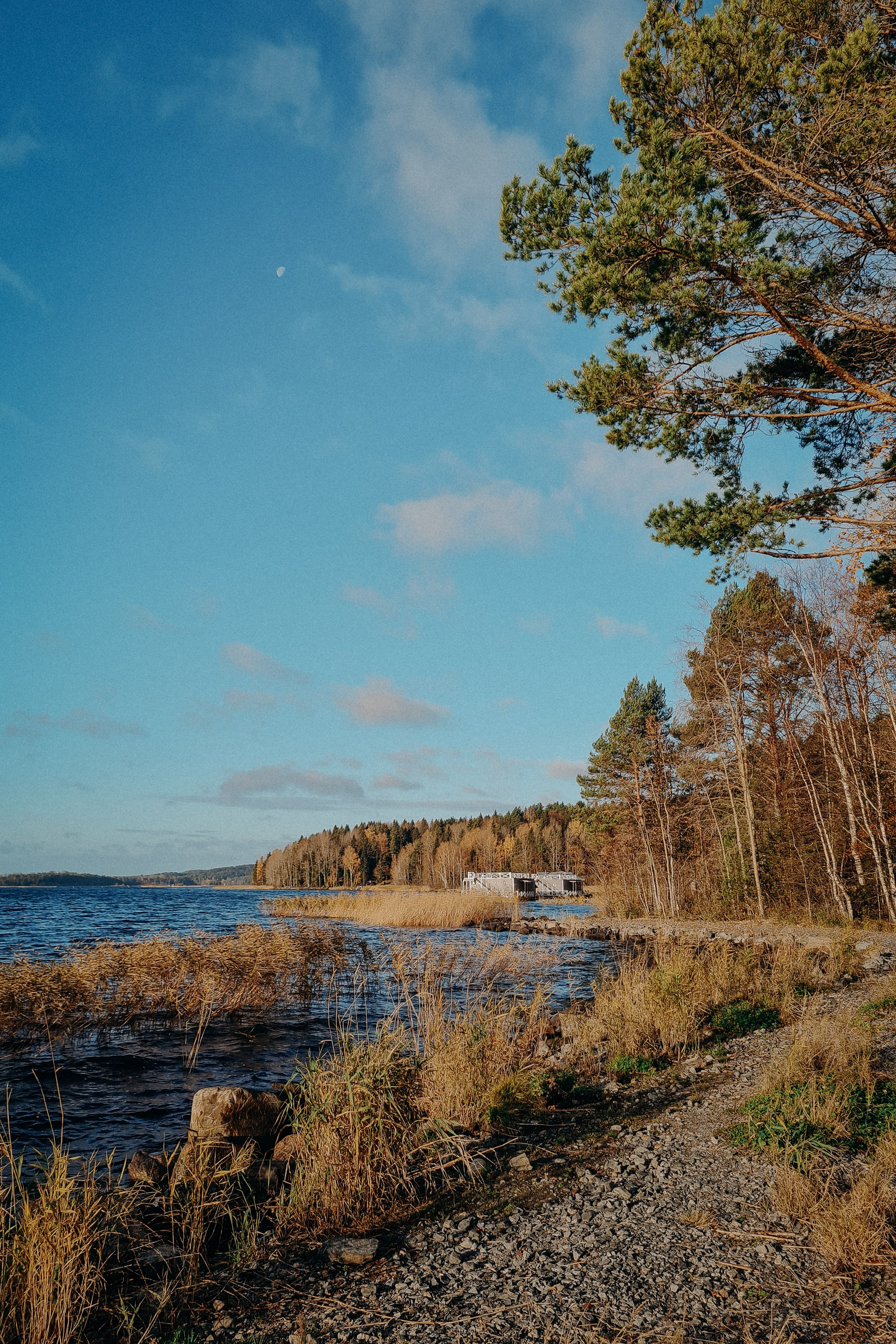Осенняя поездка в Карелию. Свадебный фотограф в Санкт-Петербурге Венера Ахметова