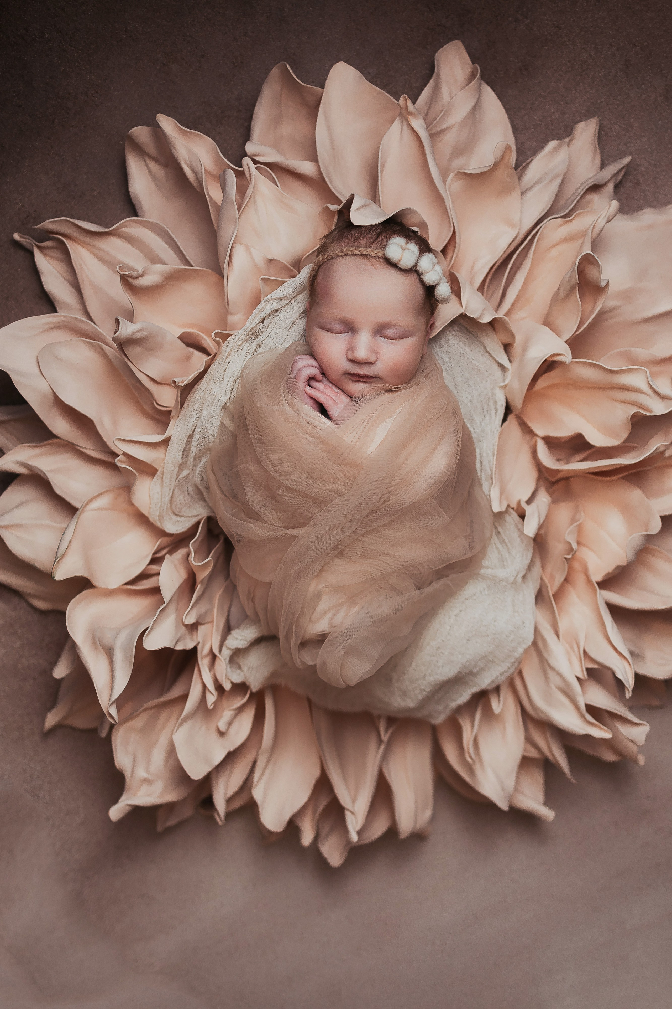 Услуги/Стоимость. Фотограф новорожденных, newborn в Пскове и Псковской области
