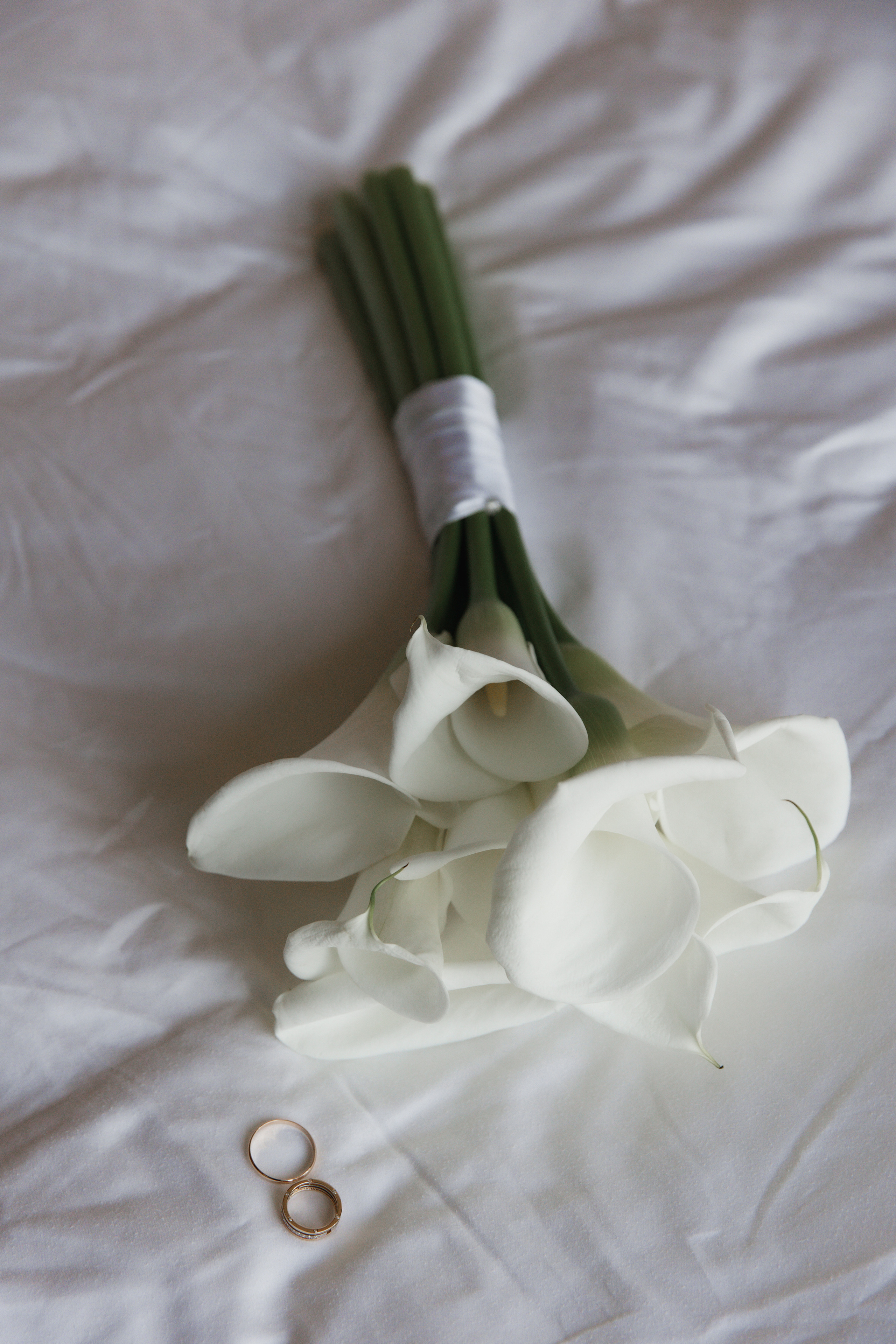 Сейчас в обработке. Фотограф Сергей Койфман