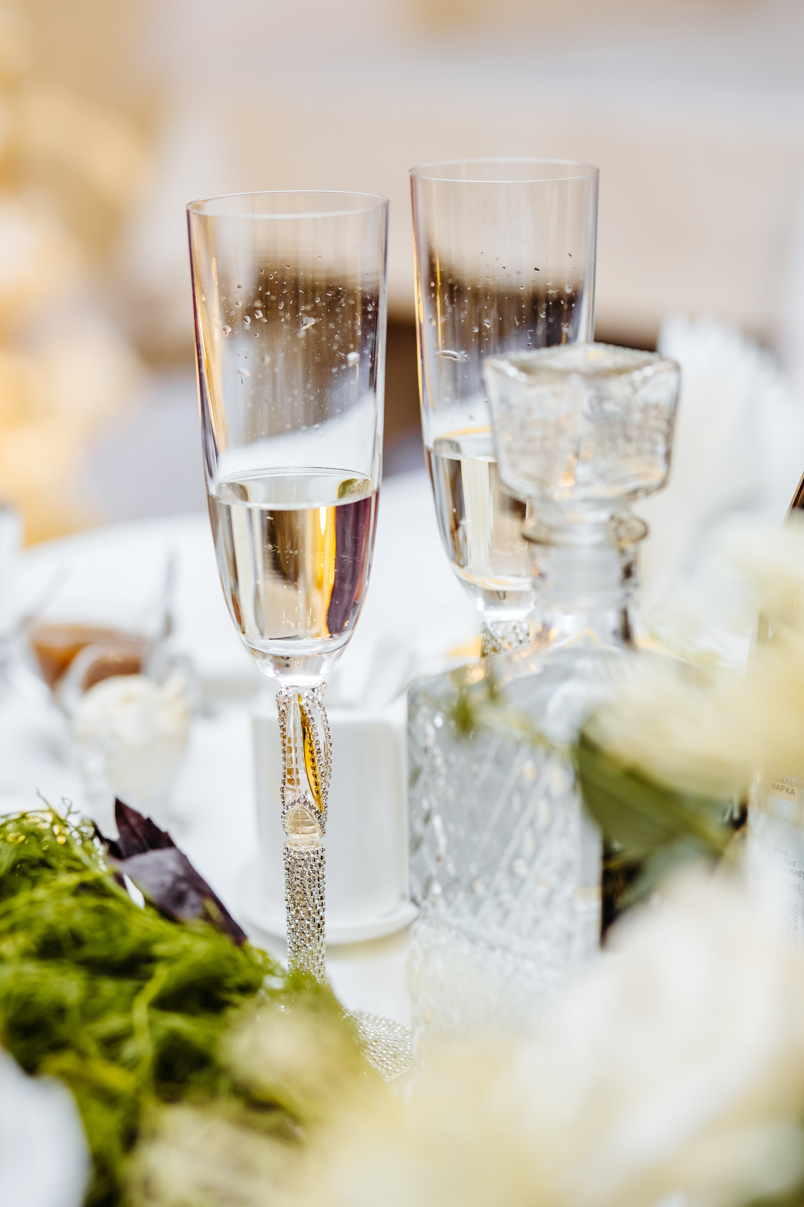 Собаки, играющие на зеленом лугу – радость и свобода, переданные через фотографии домашних любимцев