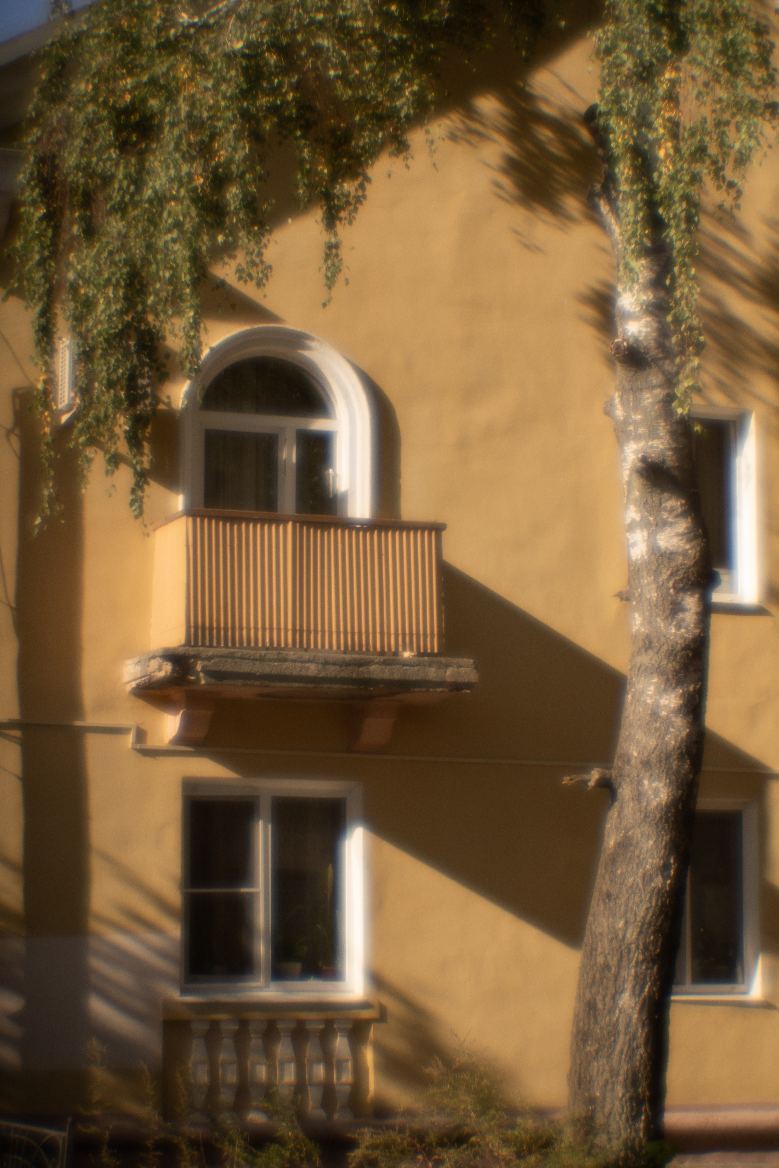 Серпуховский историко-художественный музей. Лиза Фирстова