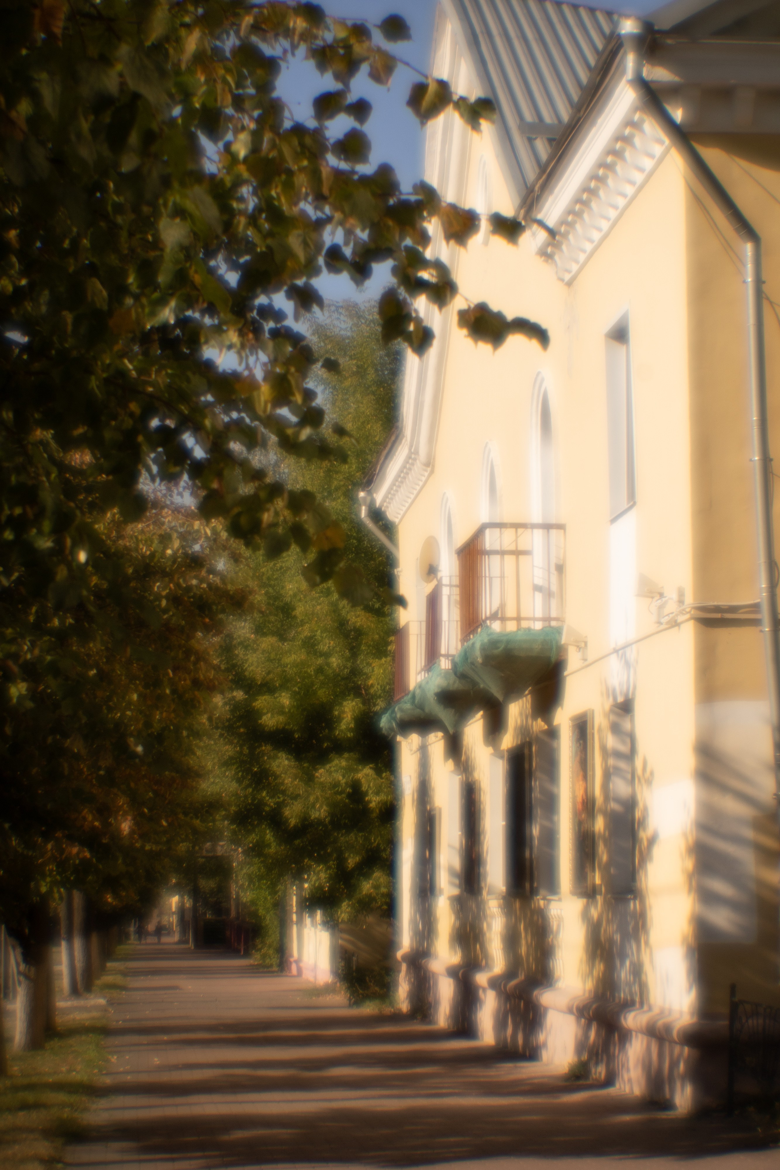 Серпуховский историко-художественный музей. Лиза Фирстова