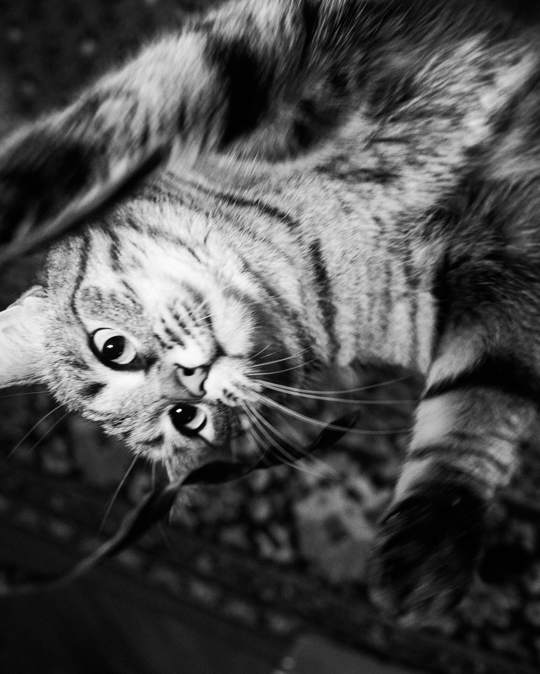 Катя. Фотограф из Москвы — DASHA NOVA | Авторская фотография в разных жанрах