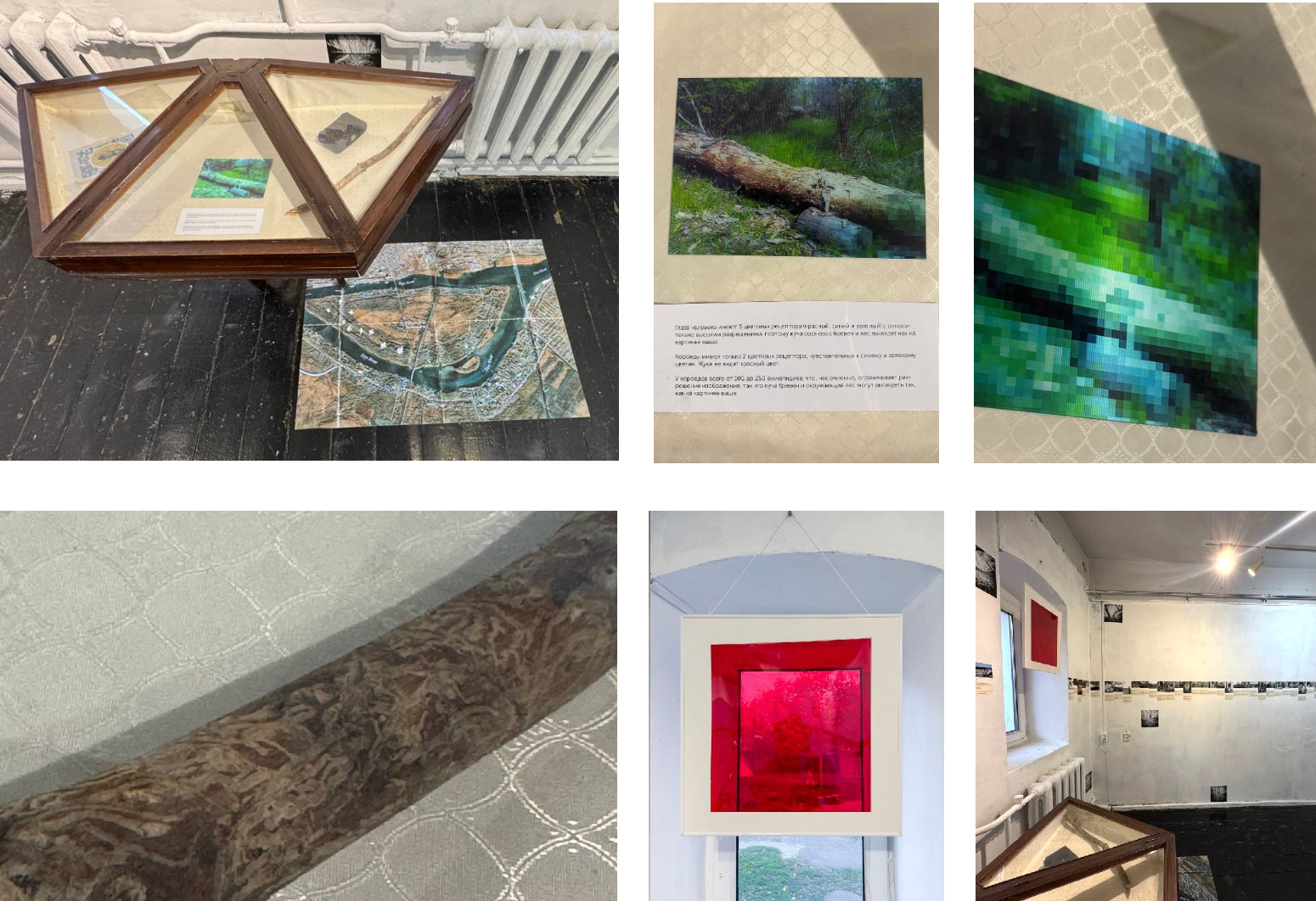 Beetlemania. Лера Круглова