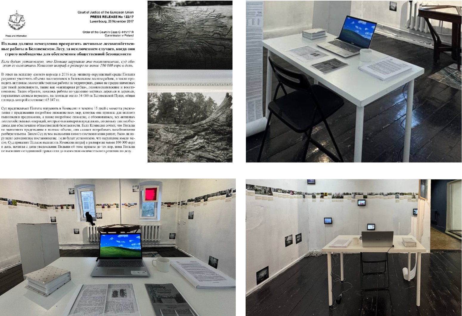 Beetlemania. Лера Круглова