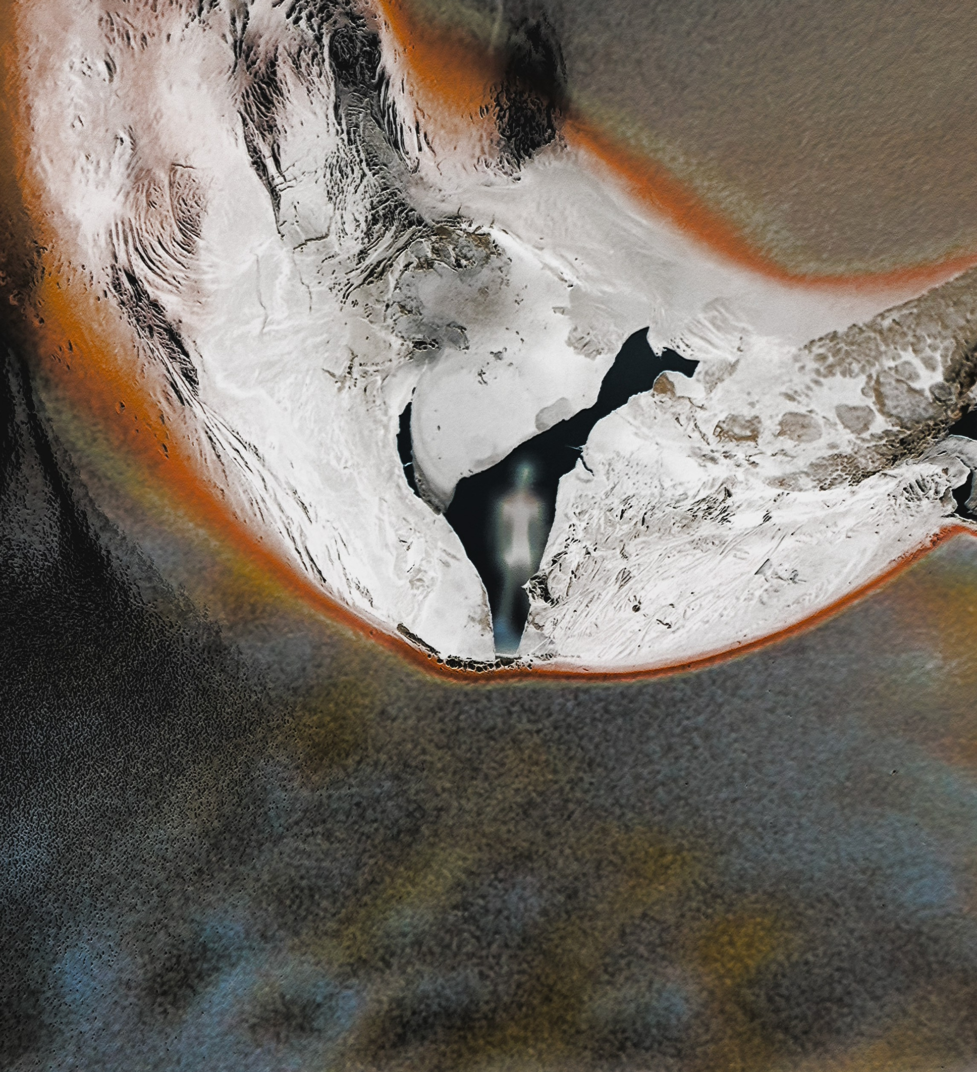 CONTACT. Lysi Timofeeva