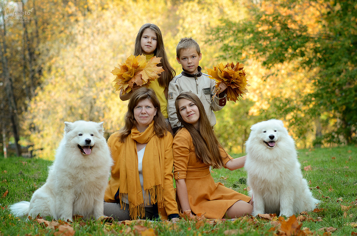 Прайс. Фотограф Воронин Владимир