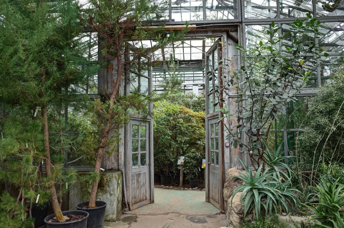 Локации для фотосессий в Москве. Фотограф, фотосессии «Всё включено» в Москве и Московской области