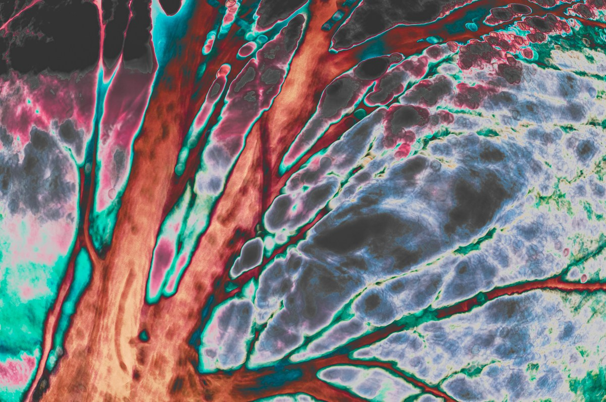 ARTWORKS. ПЕТР ПОПОВ | VISUAL ARTIST