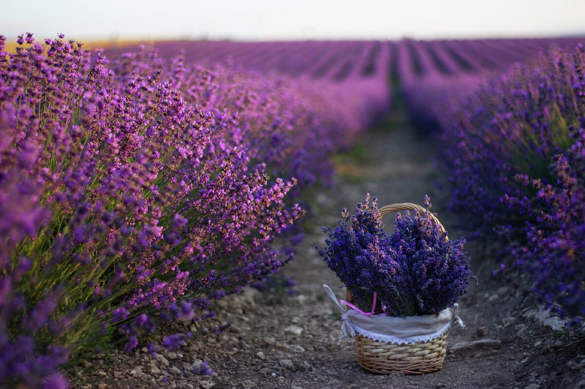 Локации для фотосессий в Крыму. Фотограф, фотосессии «Всё включено» в Москве и Московской области