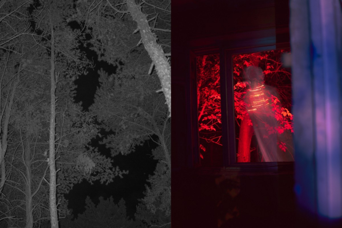 Фотокнига: Оксана Сазонова «My Book of Fears». Самоорганизация Низина