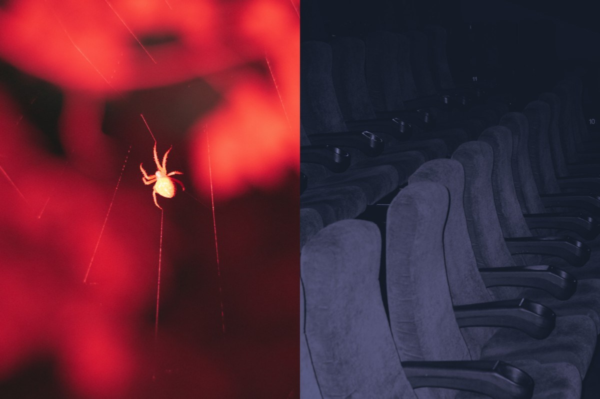 Фотокнига: Оксана Сазонова «My Book of Fears». Самоорганизация Низина