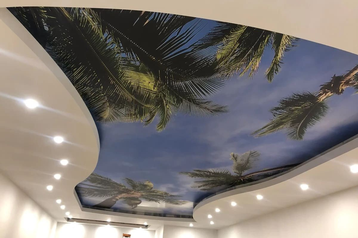 Эксклюзивные. Портфолио