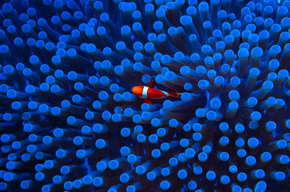 КАК УВИДЕТЬ ФОТОГРАФИЮ ТАМ, ГДЕ ЕЁ «НЕ МОЖЕТ БЫТЬ». Фотография в неожиданных местах: от повседневных объектов до абстракций. Детский и семейный фотограф в Павлодаре Оксана Солей. Школа моделей