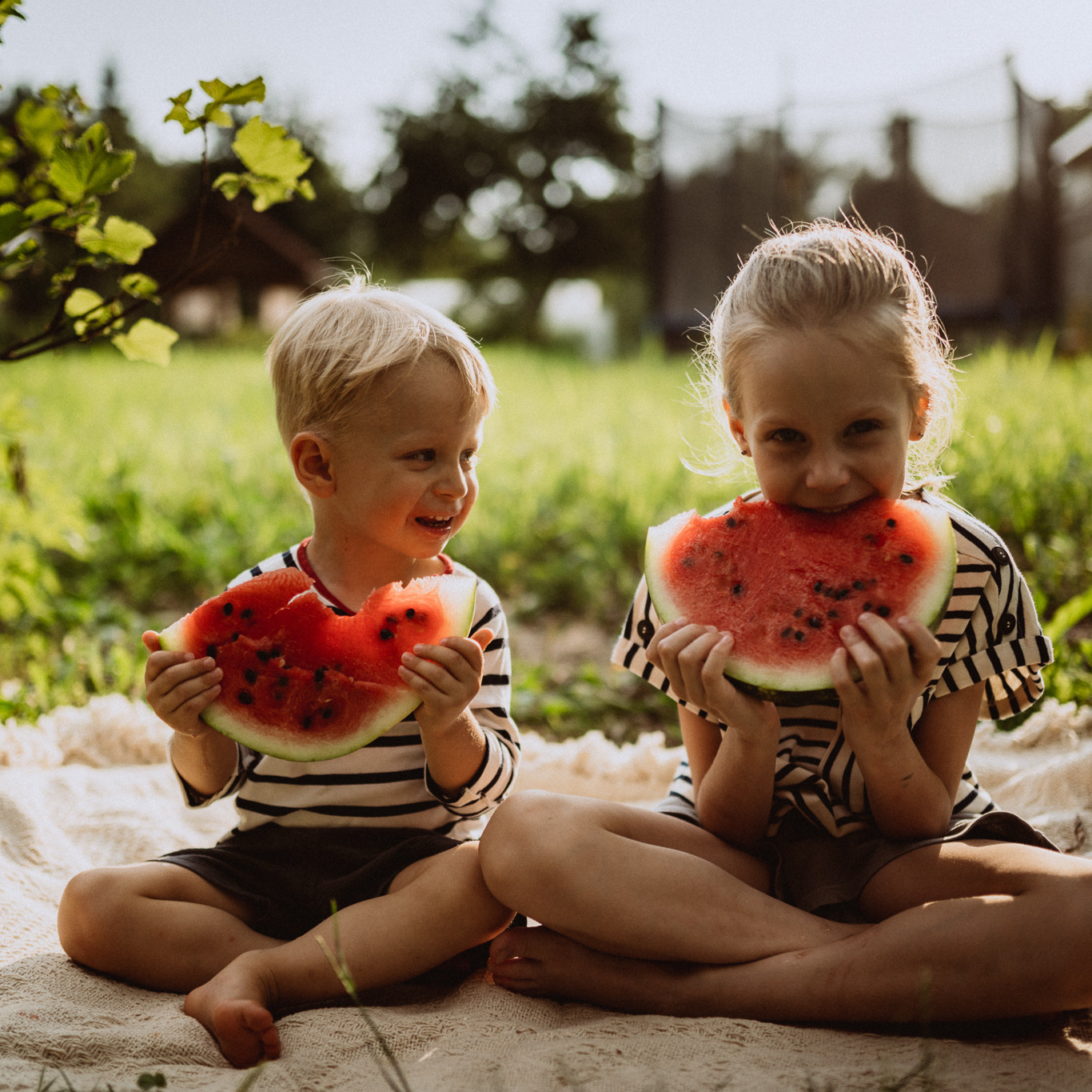 Услуги и цены. Контент Фото Видео Москва