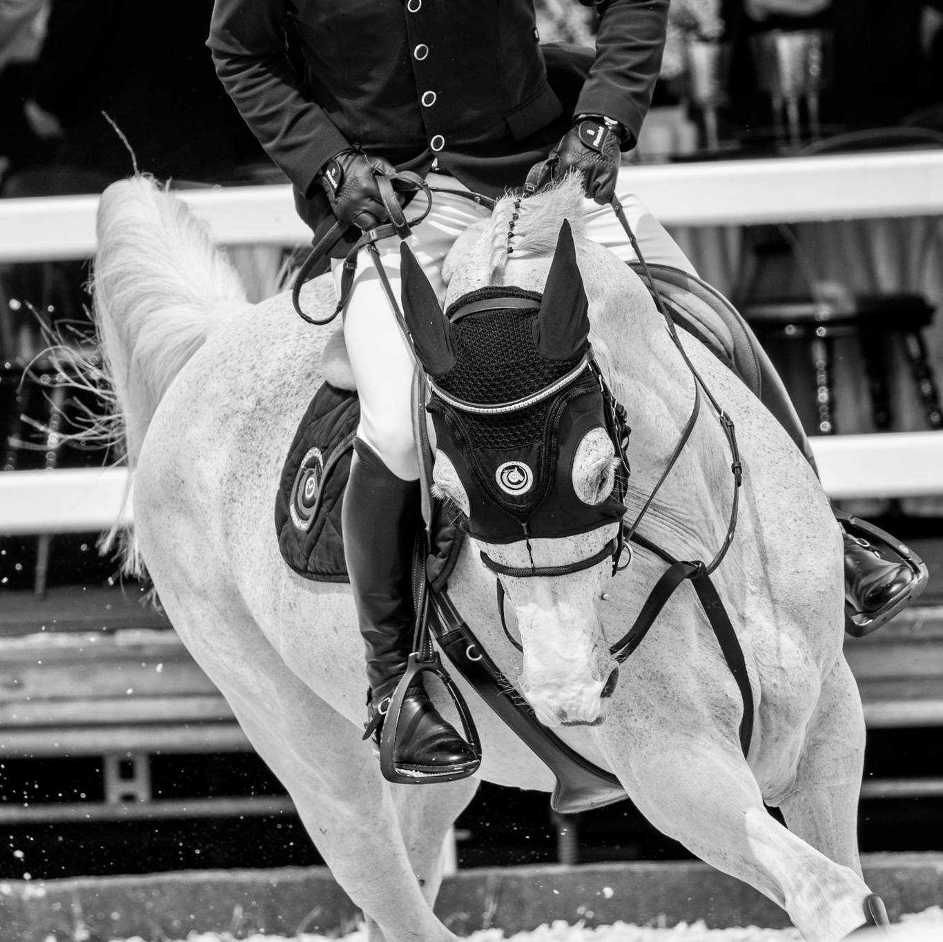 Стоимость видеосъёмки и монтажа. Mrs.Aquarelia Конный фотограф Марианна Леонтьева