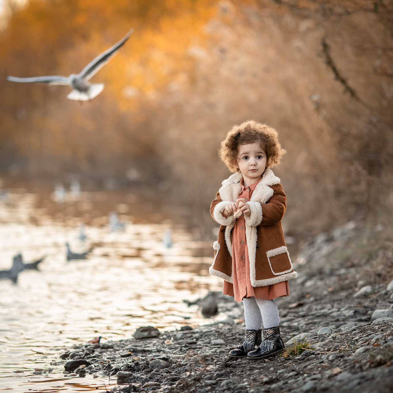 Маленькая кудрявая девочка в дубленке у берега реки кормит чаек хлебом