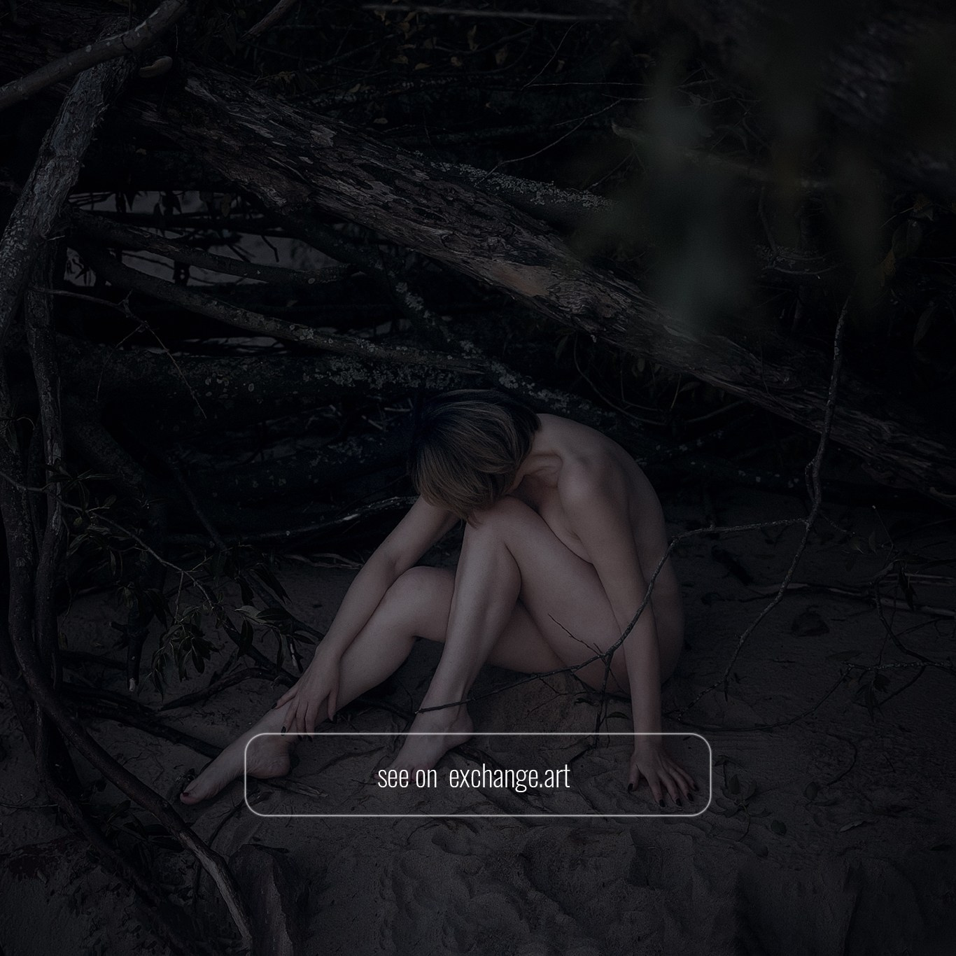 NFT. Shuvalova Anna VISUAL ARTIST