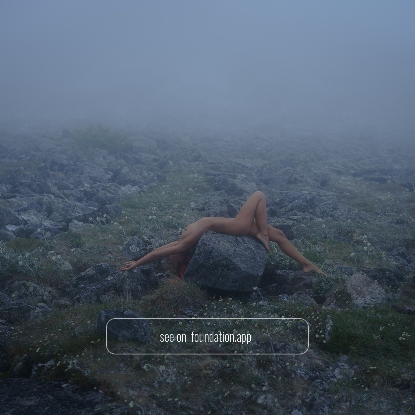 NFT. Shuvalova Anna VISUAL ARTIST