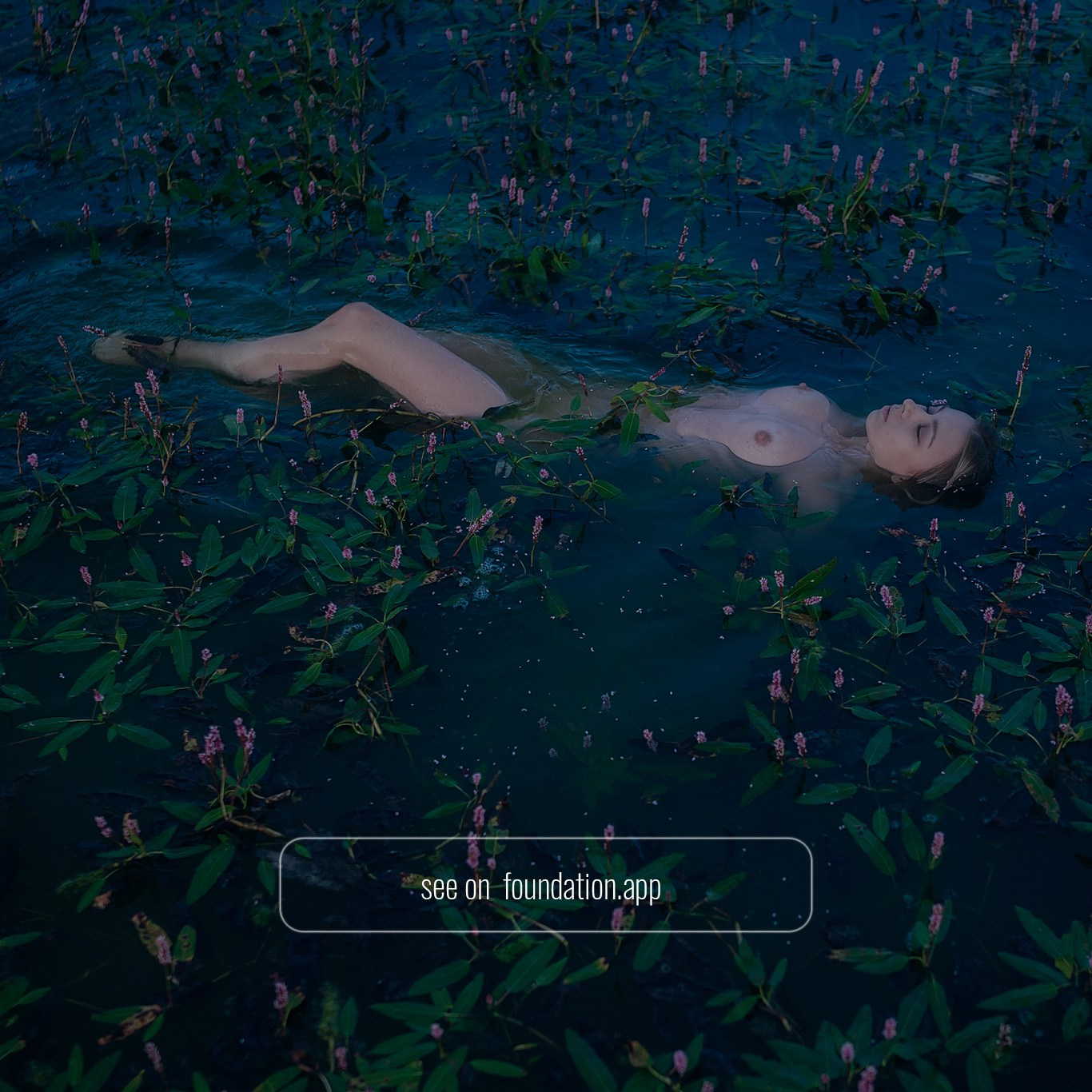 NFT. Shuvalova Anna VISUAL ARTIST