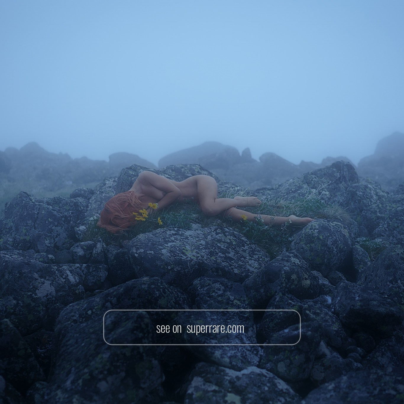 NFT. Shuvalova Anna VISUAL ARTIST