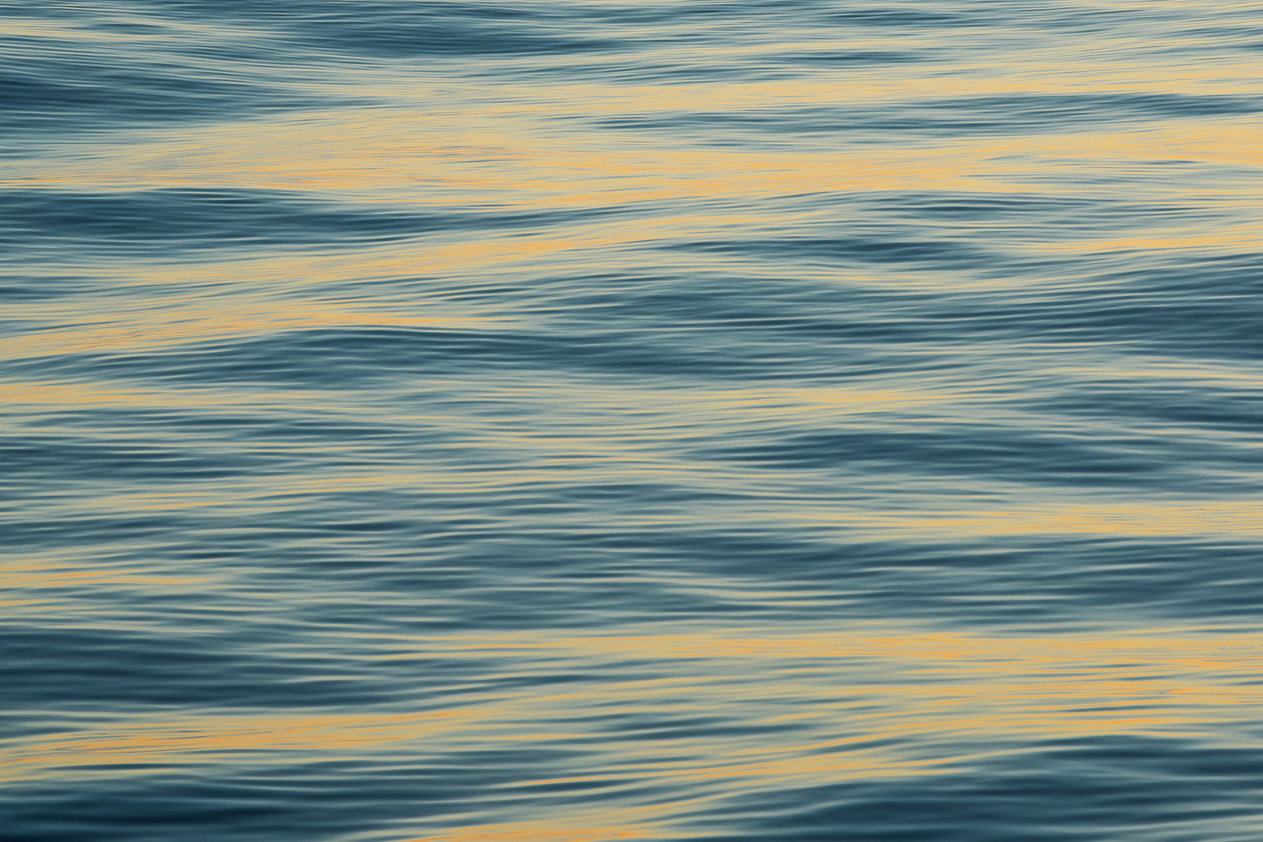 Работы, на дереве, холсте, стекле, которые можно приобрести. Яркие фото на Чёрном море