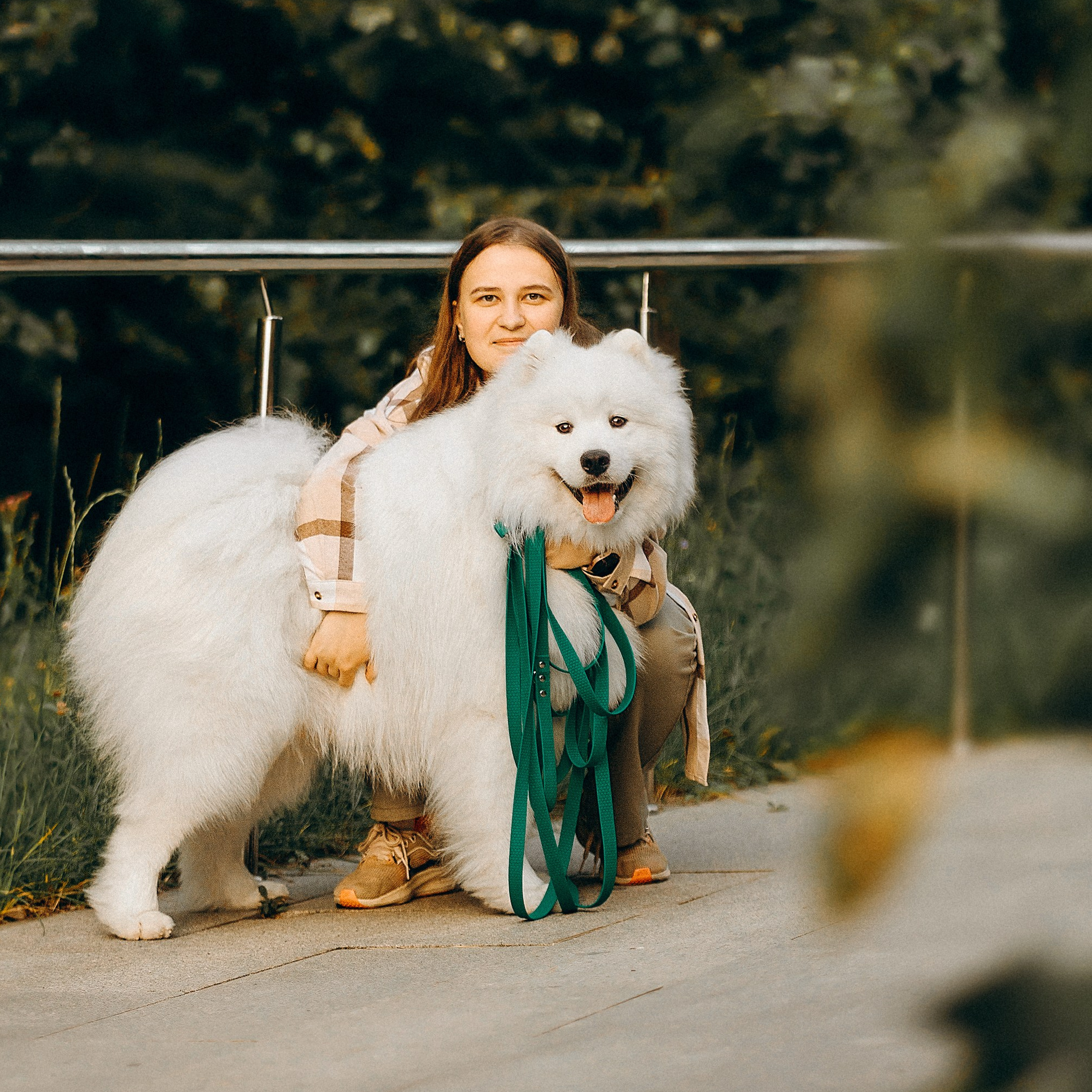 Услуги. Фотограф-анималист в Москве Екатерина Тихонова