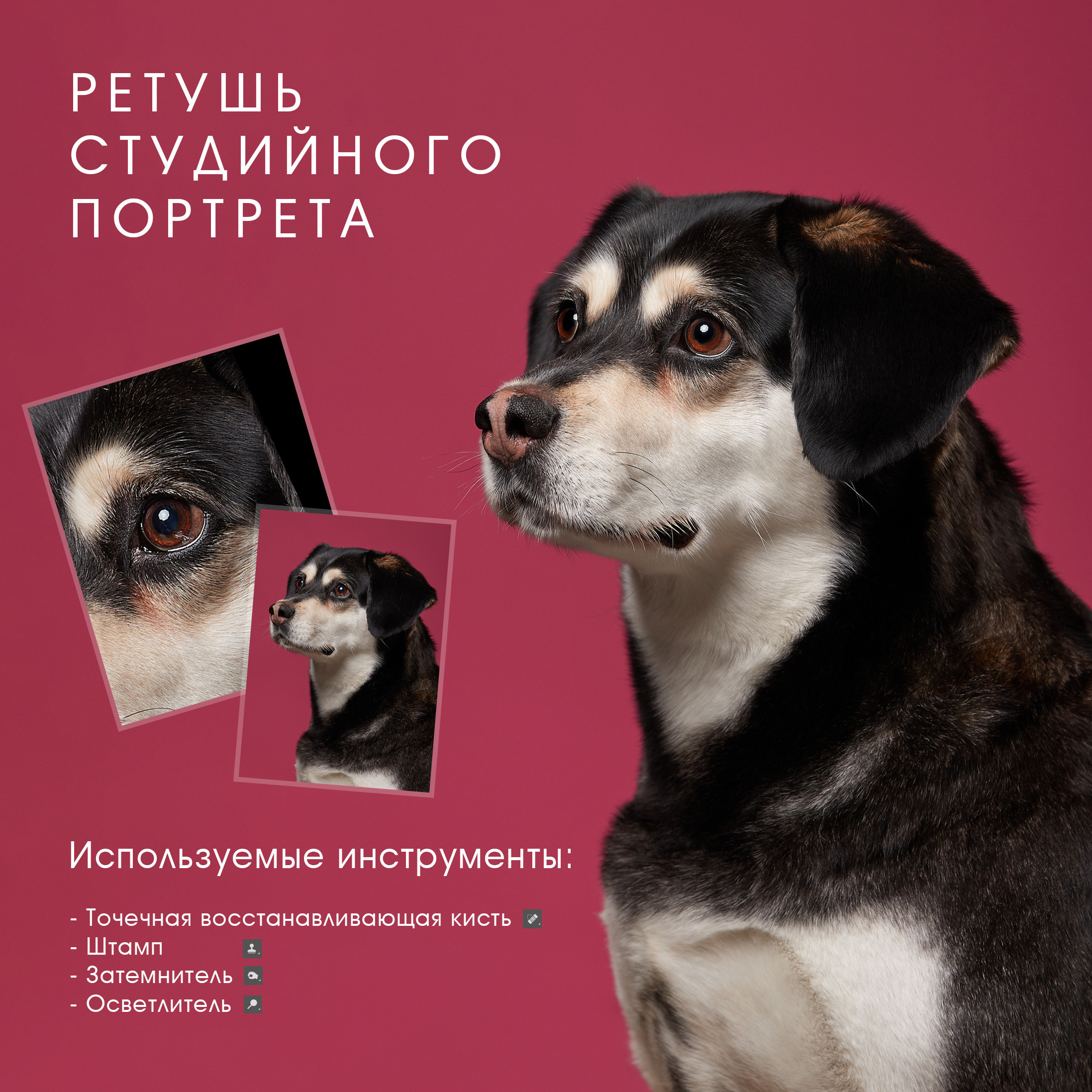 МИНИ-ГАЙД ПО РЕТУШИ. ФОТОГРАФ-АНИМАЛИСТ l LANA POLYAKOVA