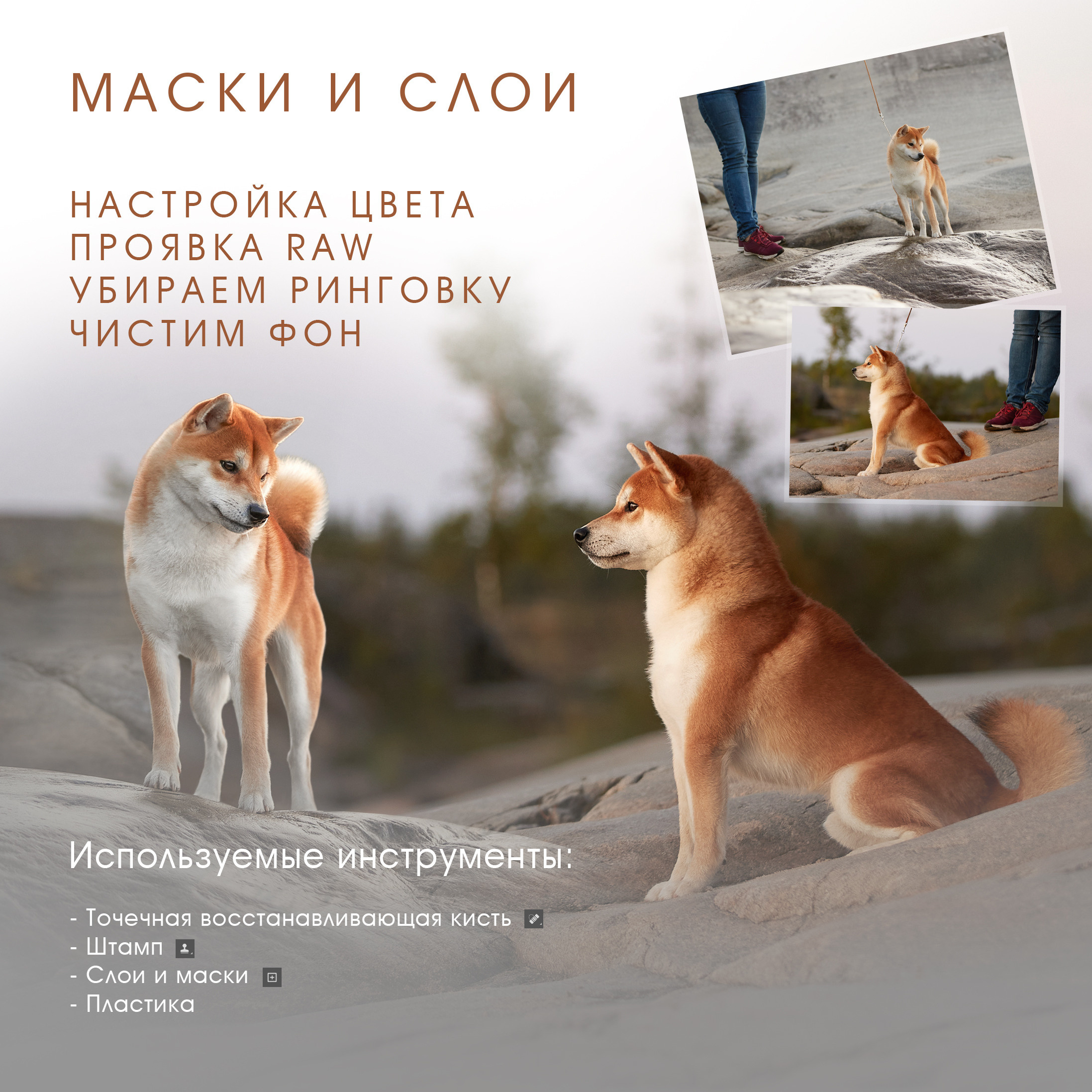 МАСКИ И СЛОИ. ГАЙД. ФОТОГРАФ-АНИМАЛИСТ l LANA POLYAKOVA