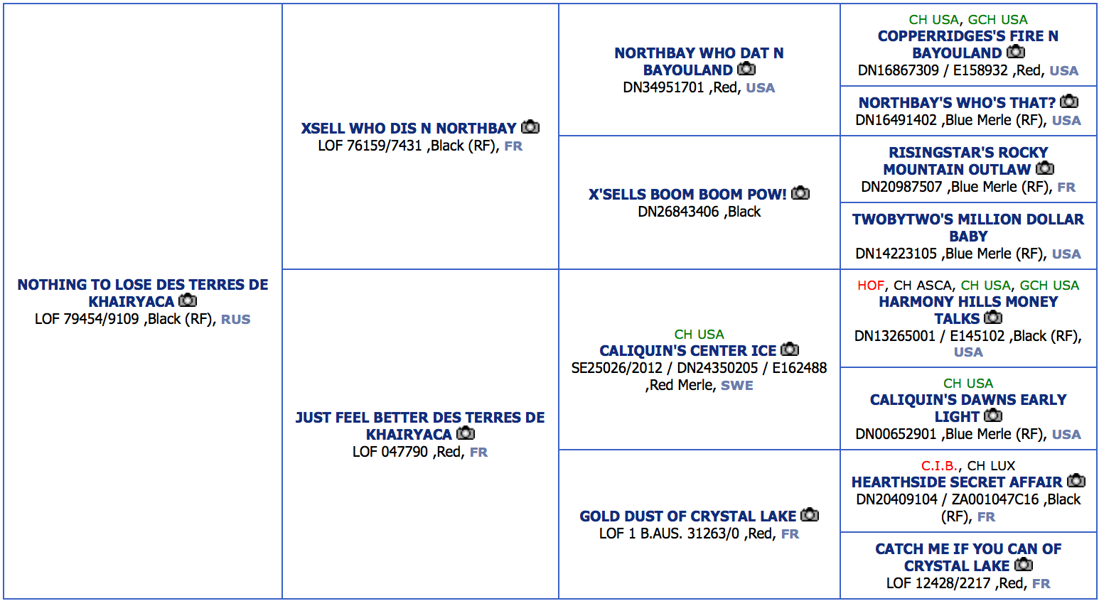 ШЕЛДОН. Питомник австралийских овчарок «APPLEDORE»