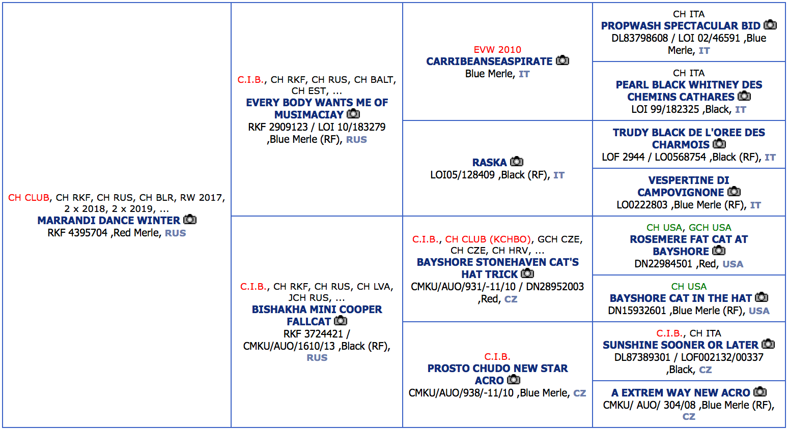 КАСЯ. Питомник австралийских овчарок «APPLEDORE»