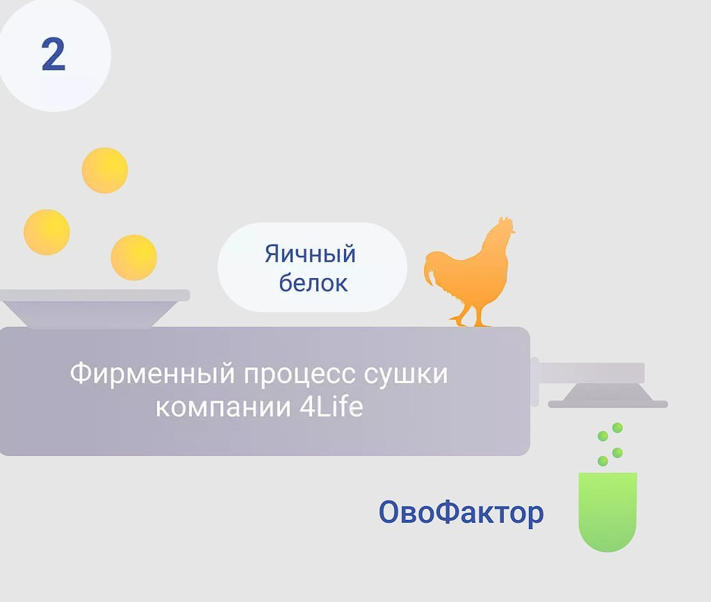 Трансфер фактор. Медицина с душой