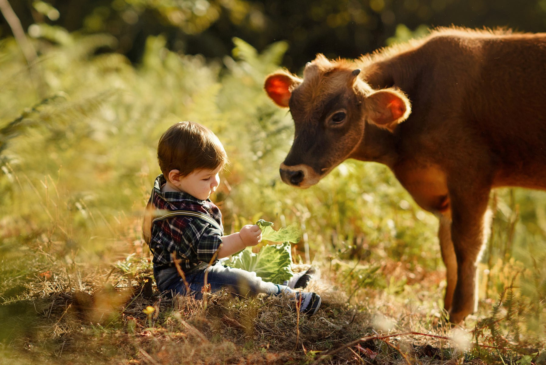 КРАСИВЫЕ МЕСТА В СОЧИ. Свадебный и семейный фотограф/видеограф в Краснодаре Наталья Осинская