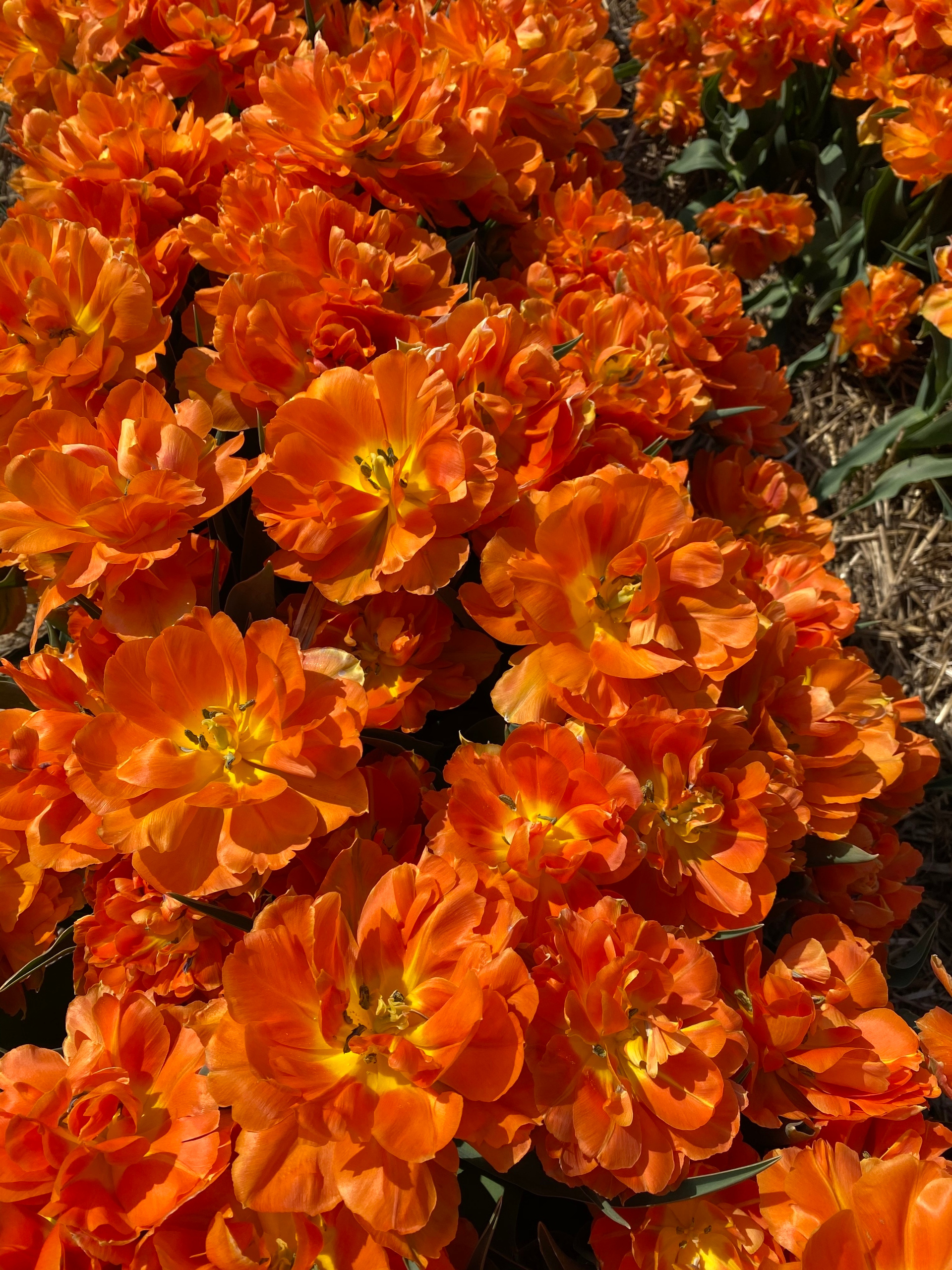 Reviews. Photographer Anastasia Barmina