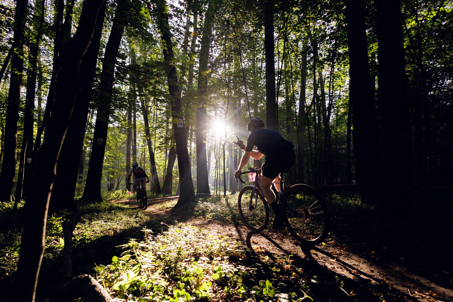 CityTrail Izmailovo
