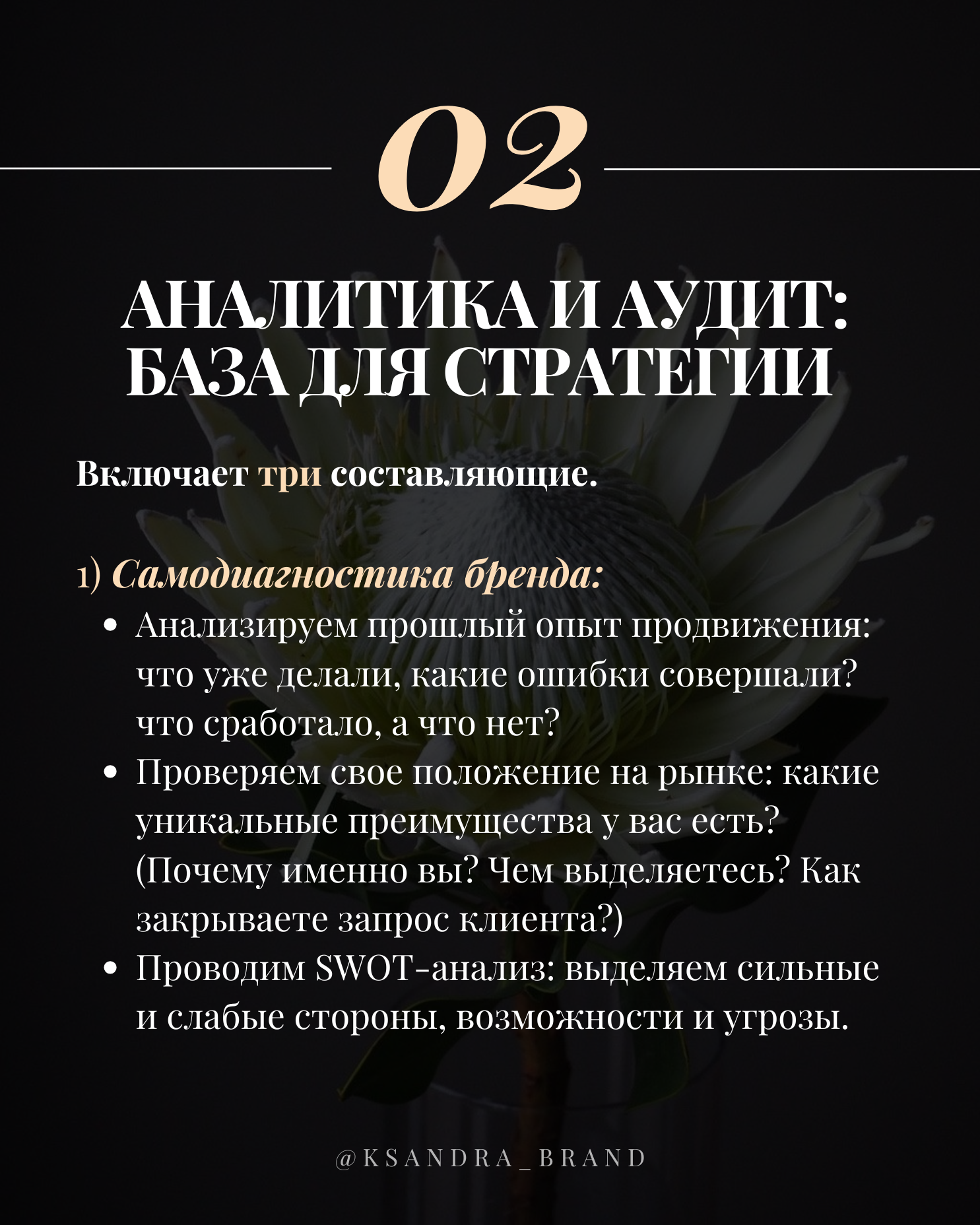 Практическое руководство: «Создание стратегии продвижения в соцсетях на 2025 год