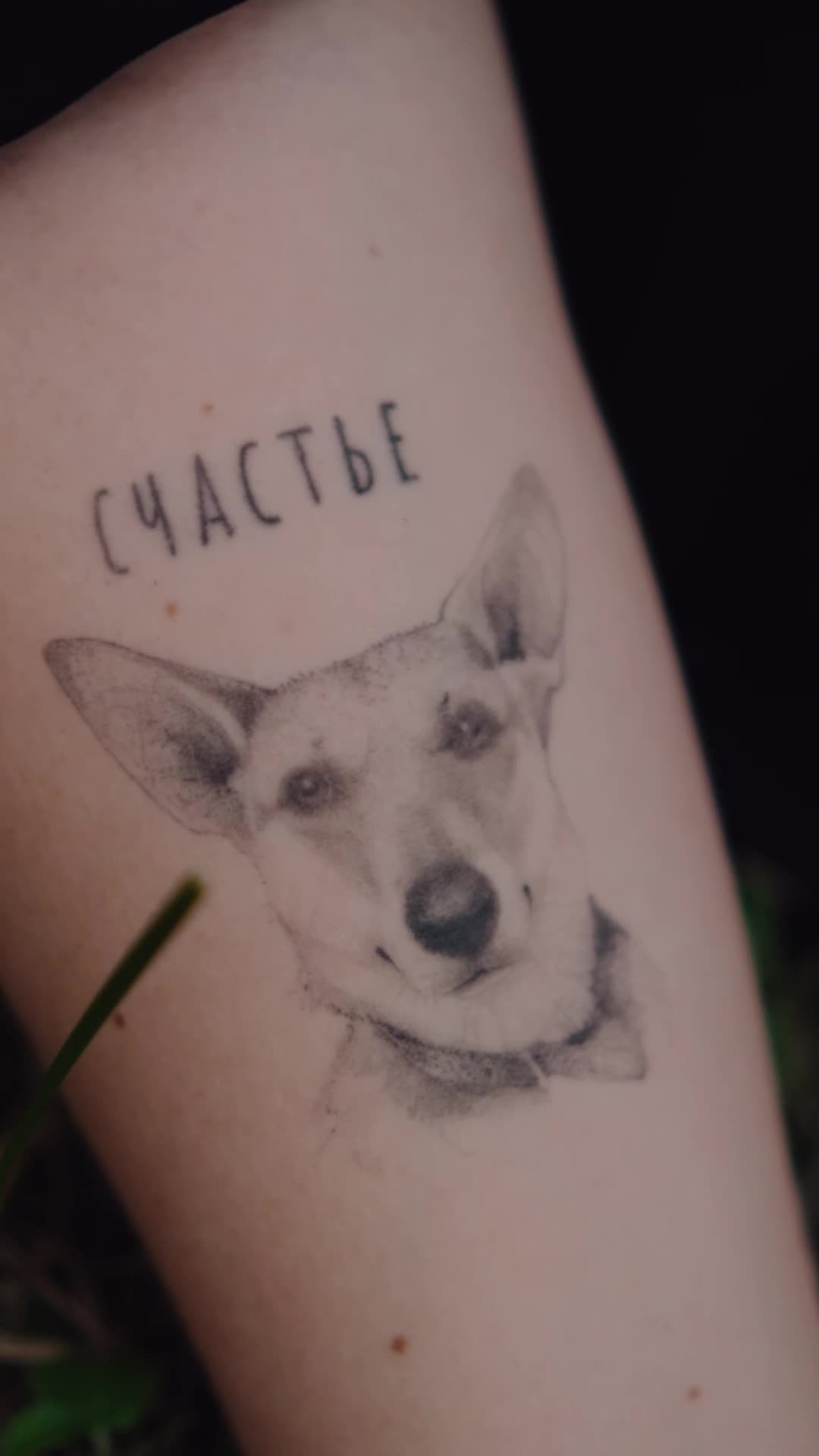 Семейное кино. Видеосъемка для бизнеса