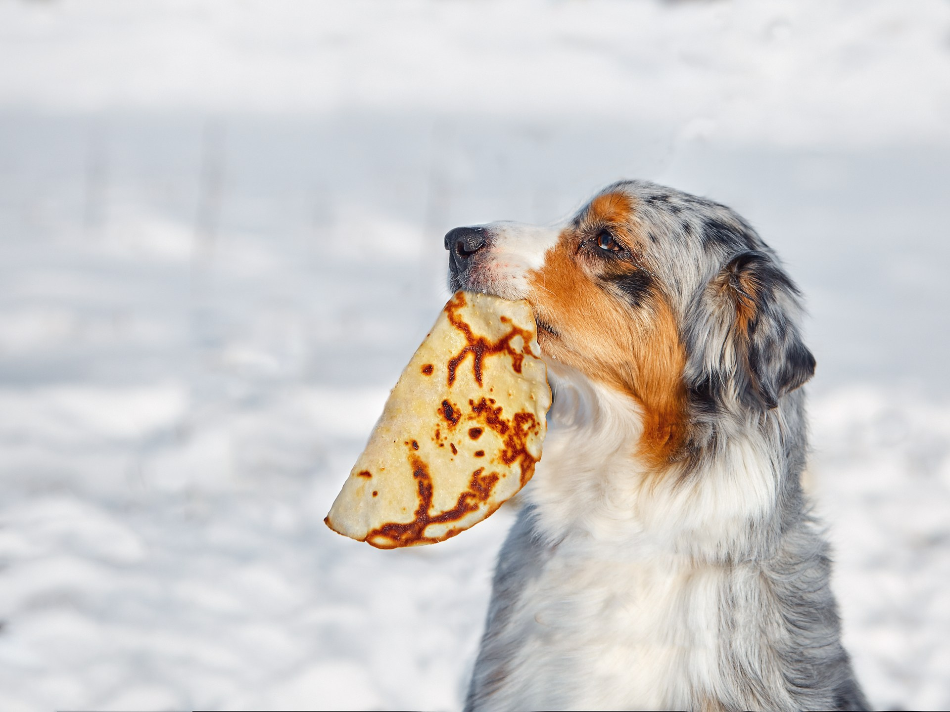 Блог. Детский и семейный фотограф в Нижнем Новгороде Мячикова Наталья