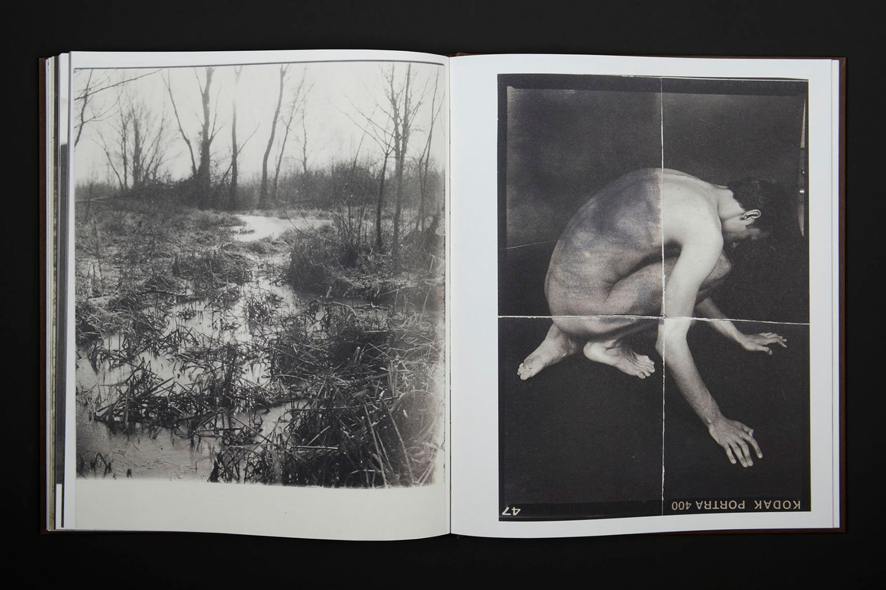 Книга Вика Бакина (Vic Bákin) «Epitome». Private image