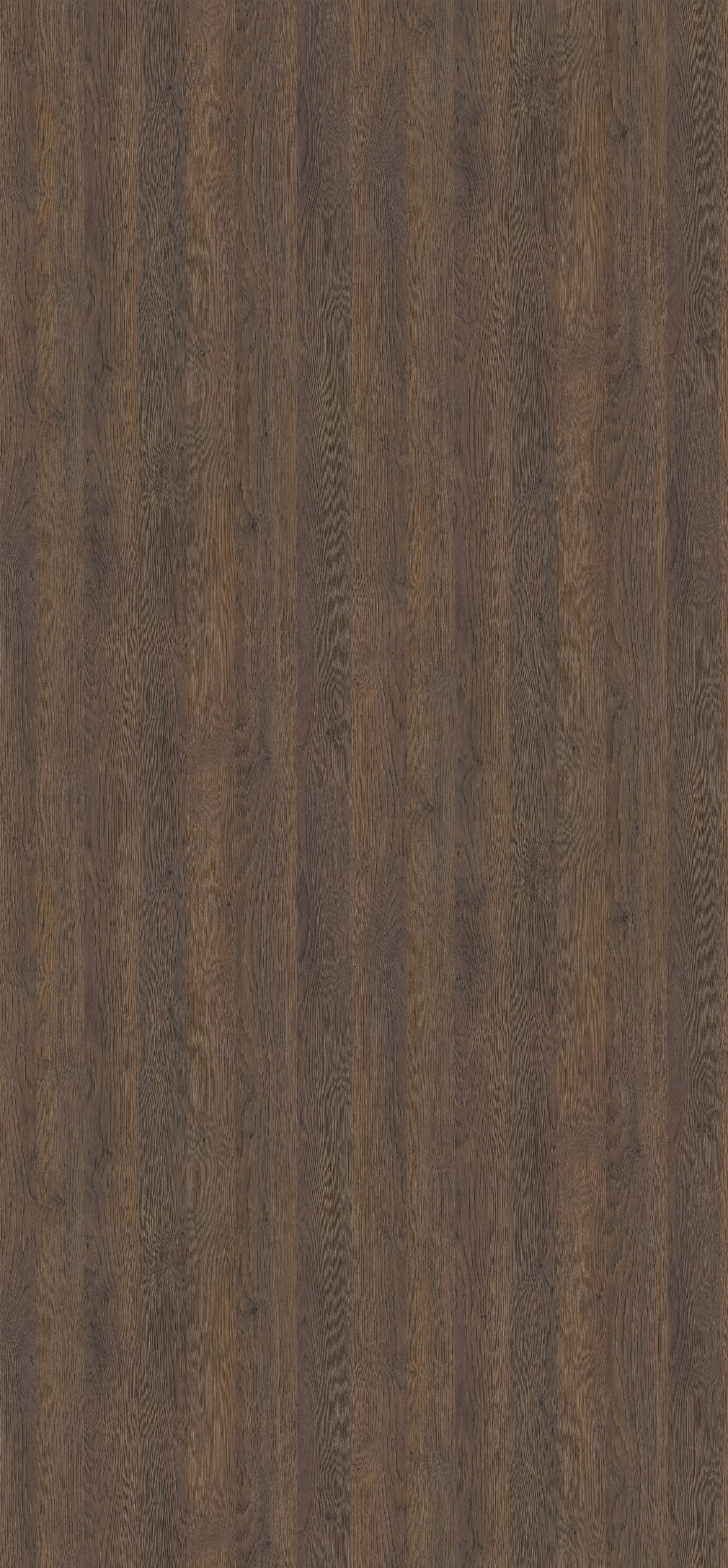 EGGER. Главная