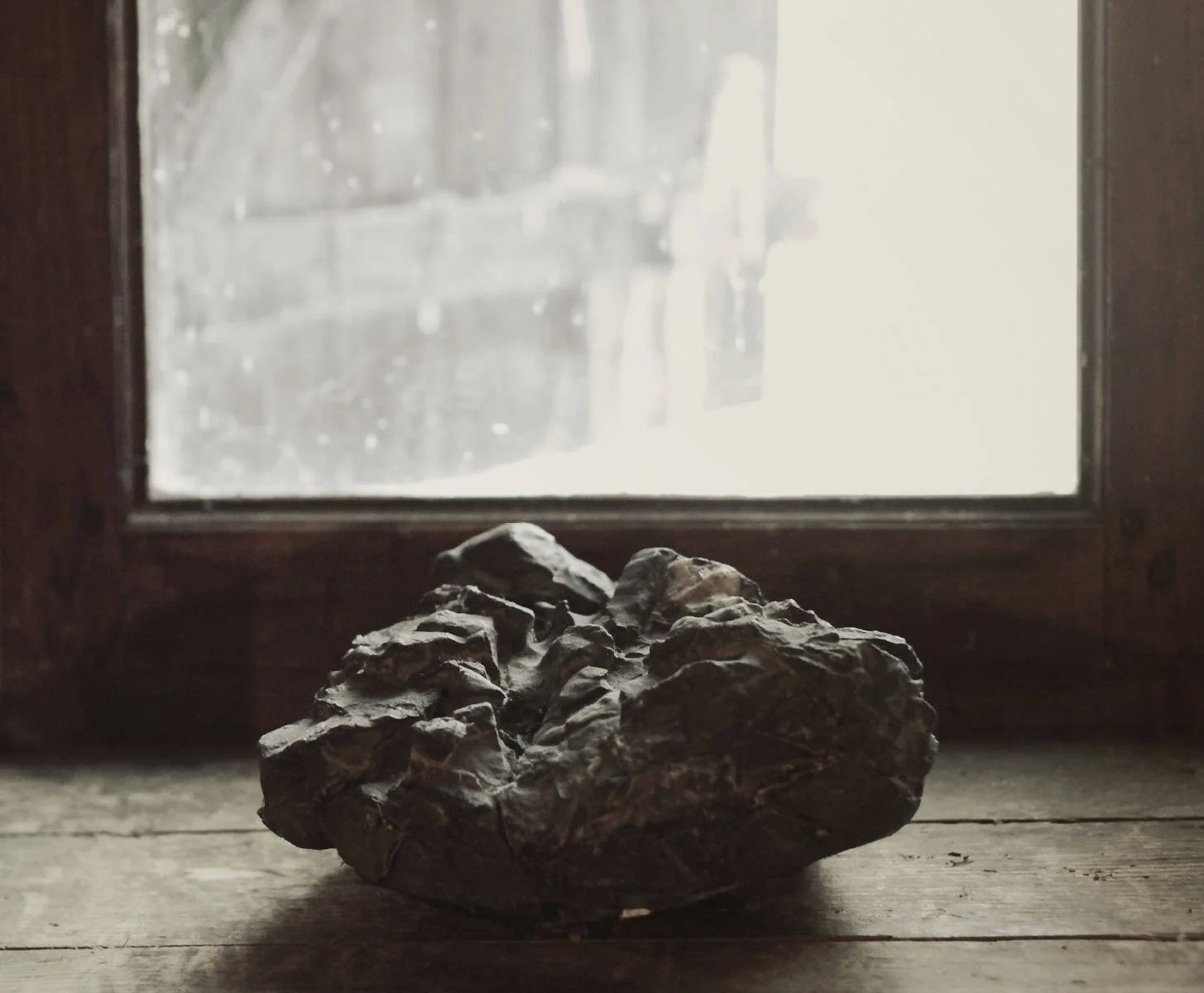 Книга Нины Вивианы Канджалози «The Snow Abides». Private image