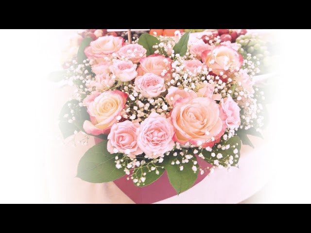 Футажи. Профессиональный фотограф Майя Истомина