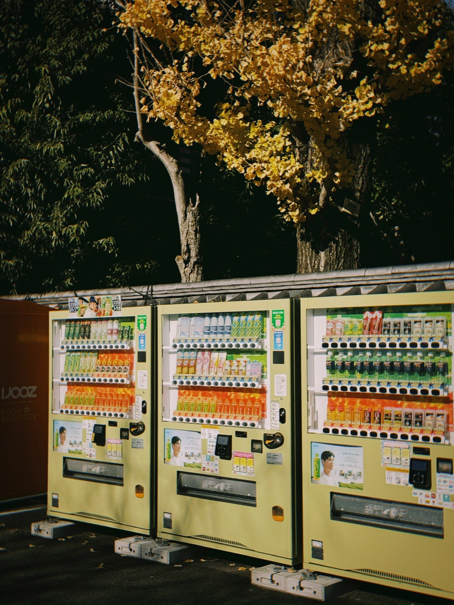 TRAVELERS: гайды, фото из путешествий, личные рекомендации