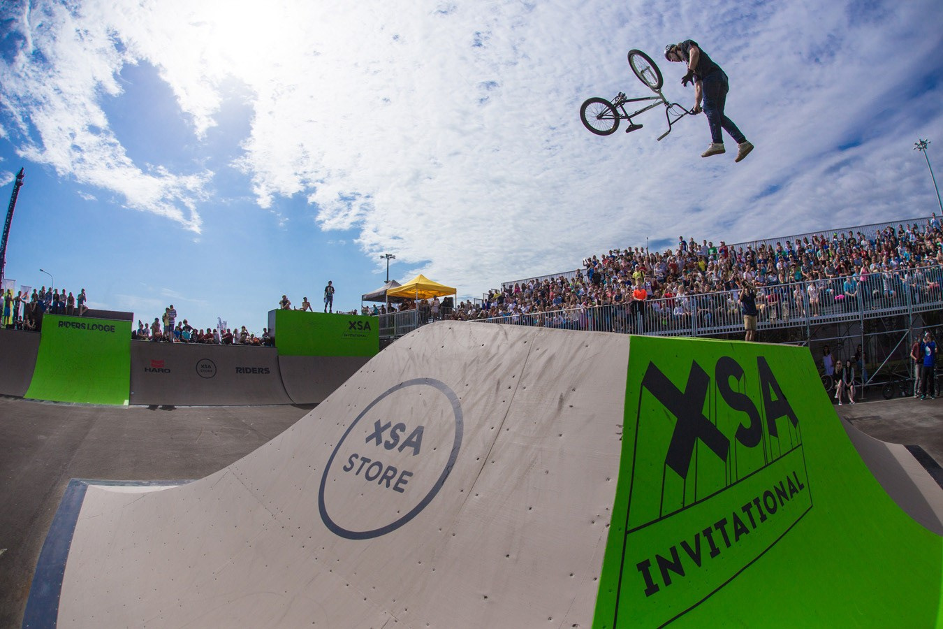 Random photo roulette. Bivol images